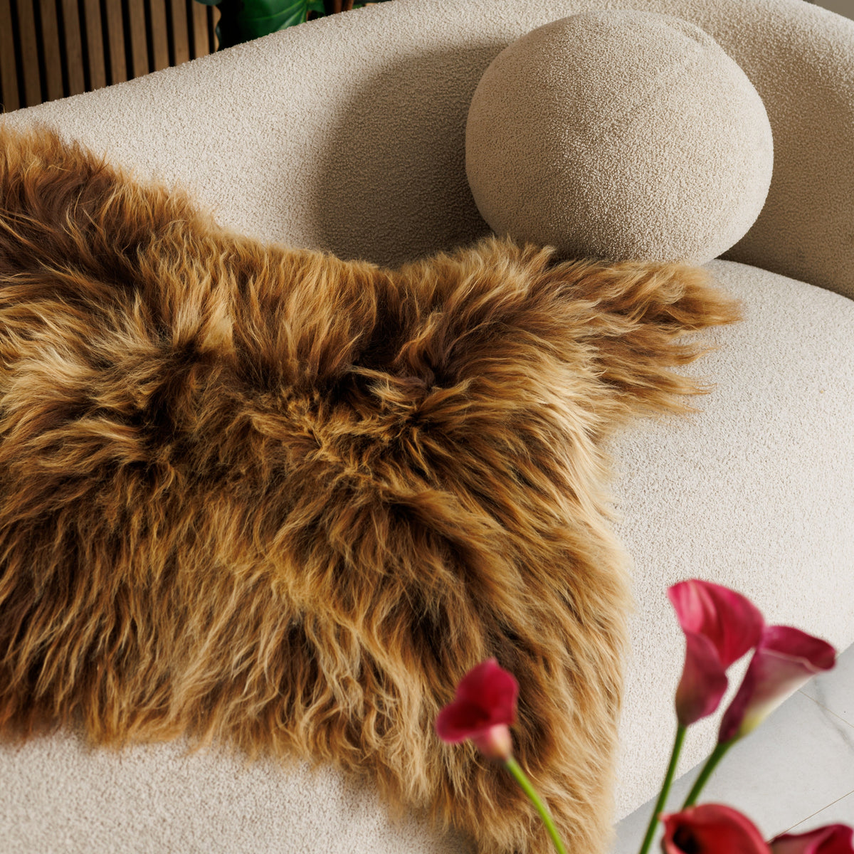 Why everyone should have a sheepskin?