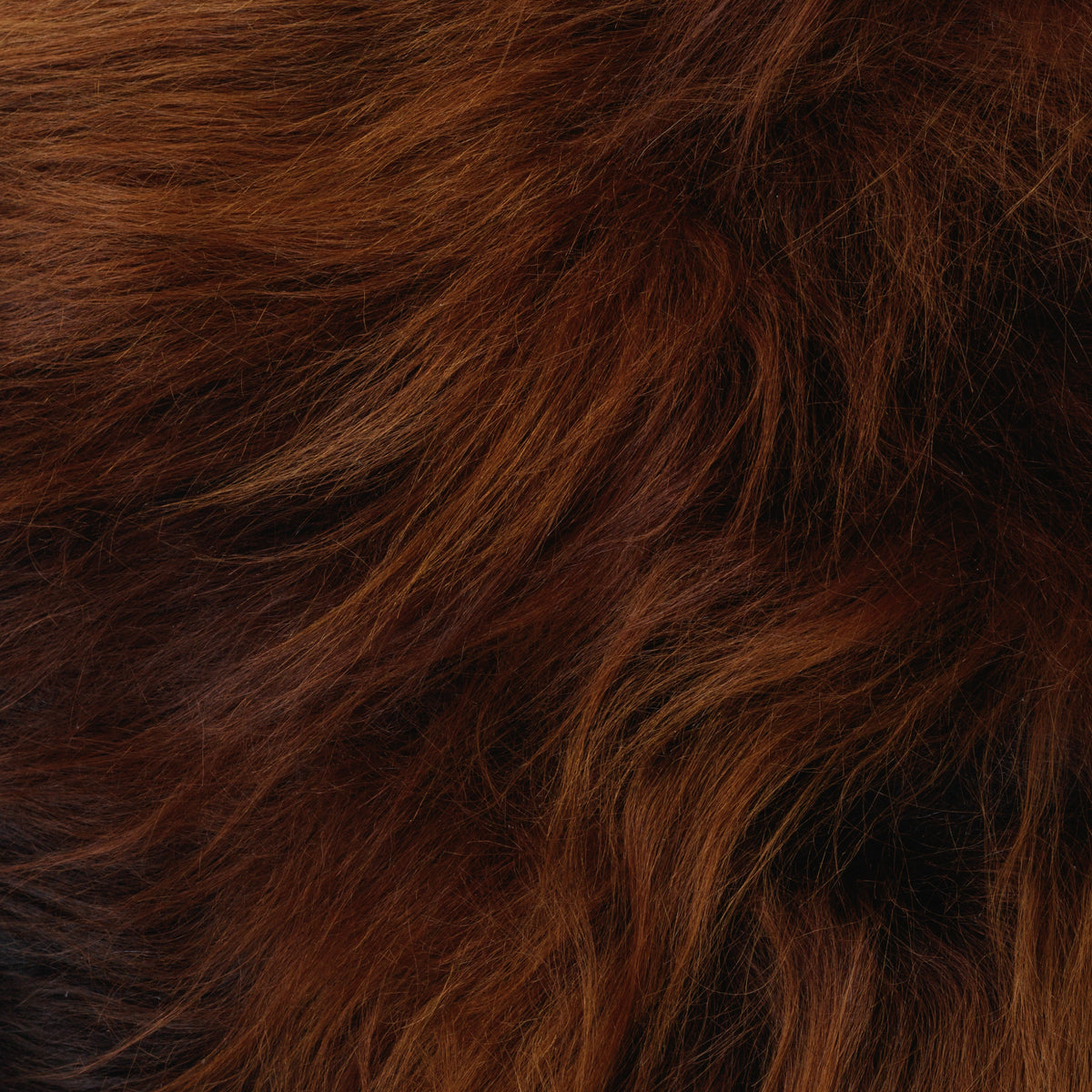 How the sheepskins are measured?