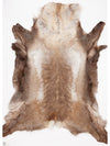 Blană de ren XXXXL