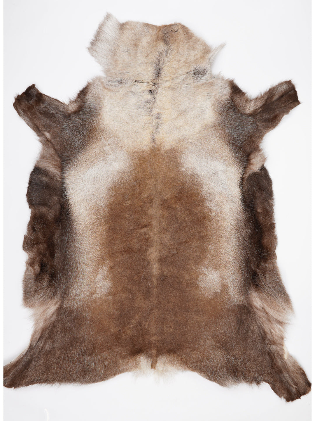 Blană de ren XXXXL