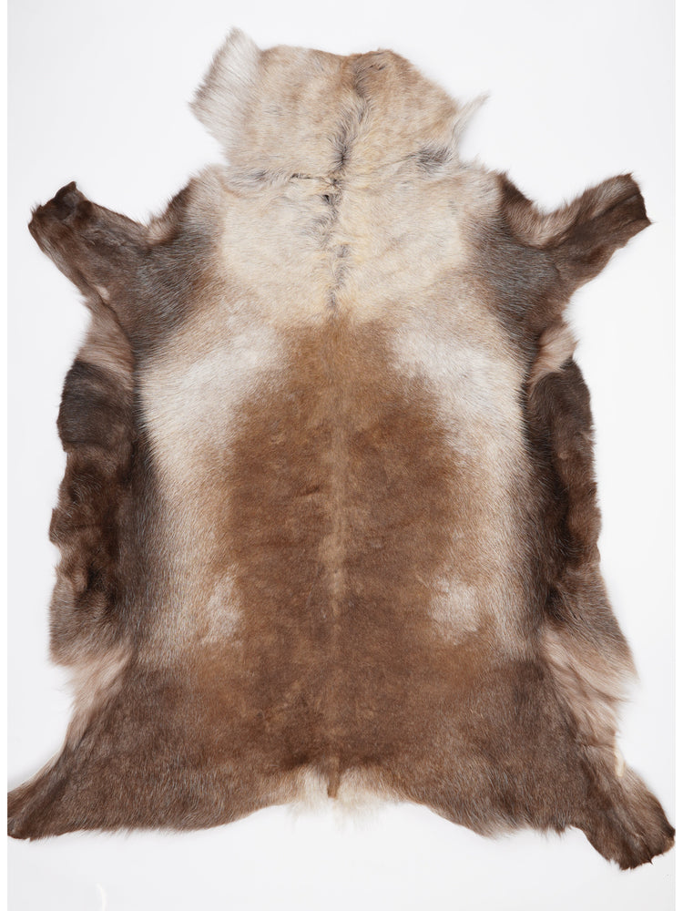 Blană de ren XXXXL