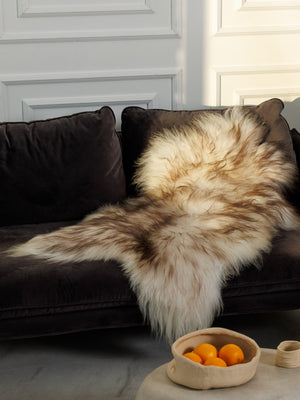 Icelandic mouflon sheepskin