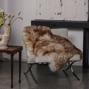 Mouflon