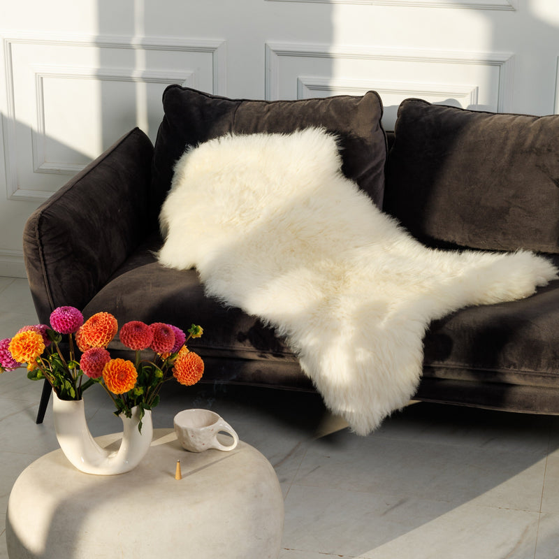 Cosy on the sofa