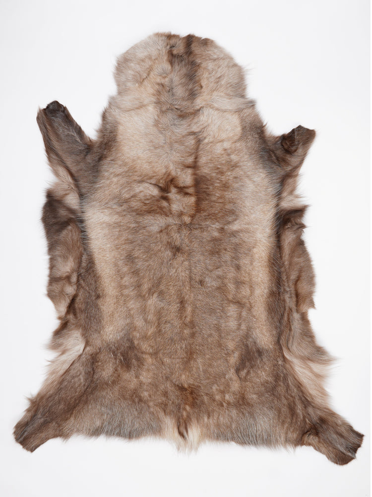 Blană de ren XXXXL